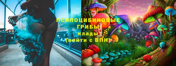 PSILOCYBIN Балахна