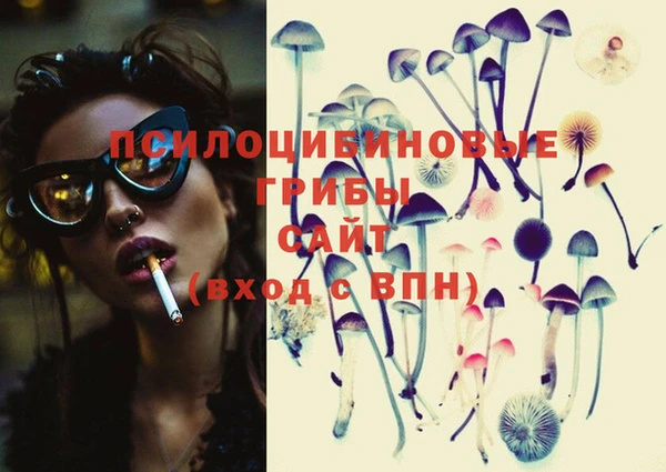 PSILOCYBIN Баксан